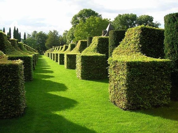 Les secrets des Jardins de Marqueyssac : Une oasis de verdure en Dordogne